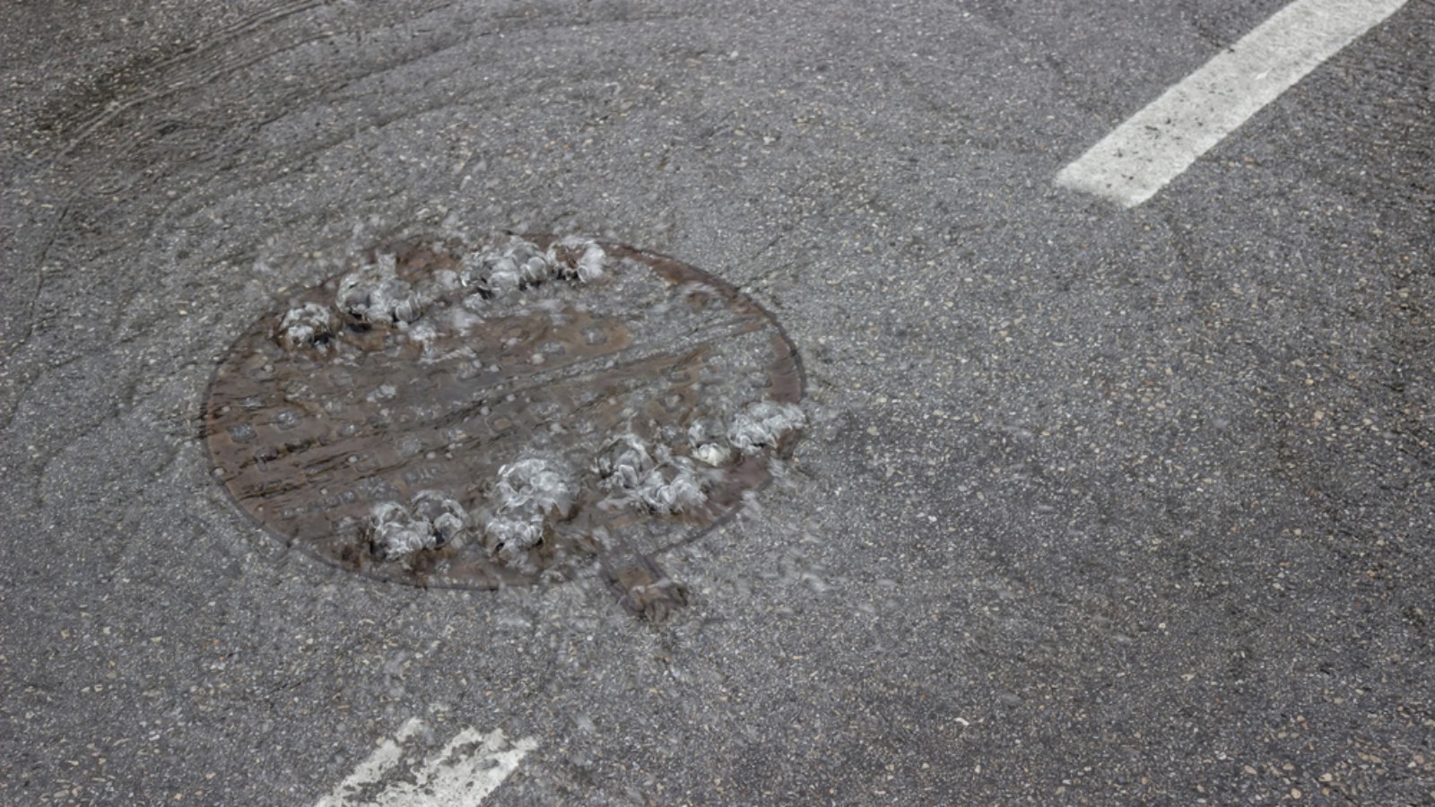 Drains Unblocked Fast, Call Us Today!